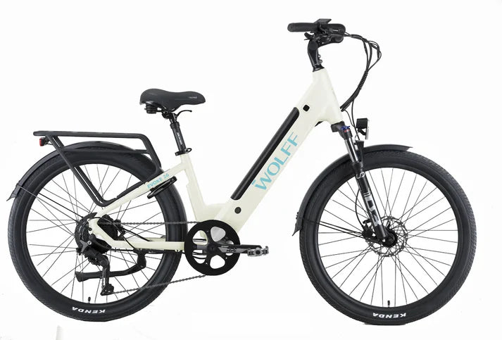 The Best Electric Bikes to Tackle the Canadian Climate