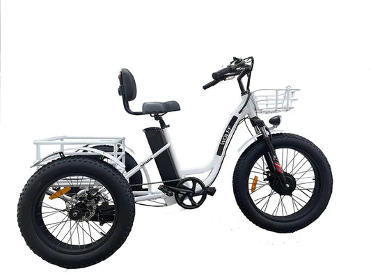 What Subsidies Are Available to Buy an Electric Bike?