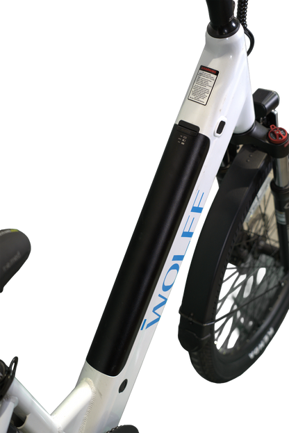 Evoke E-Bike