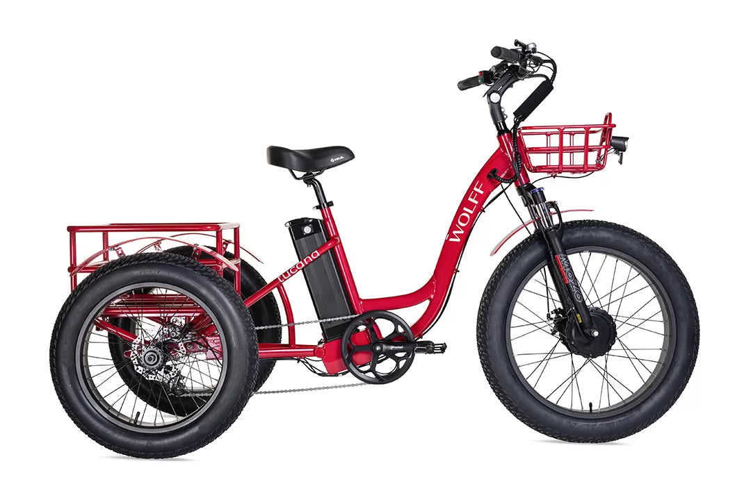 Tucana Cargo E-Bike Trike