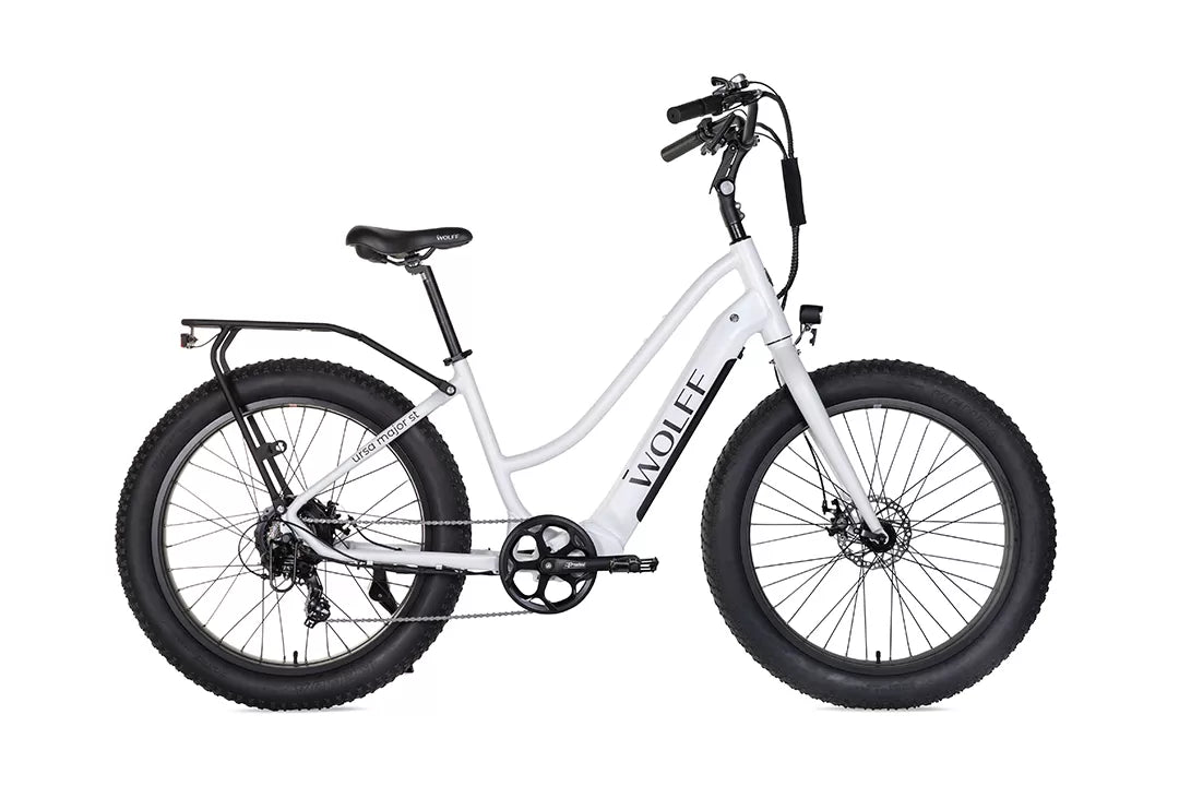 Ursa E-Bike Cruiser