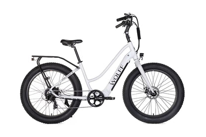 Ursa E-Bike Cruiser