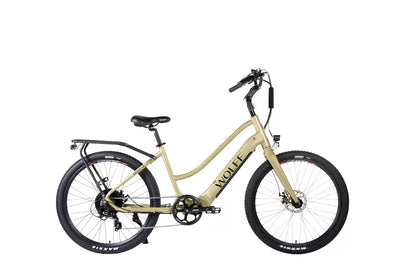 Ursa E-Bike Cruiser