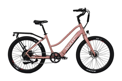 Ursa E-Bike Cruiser