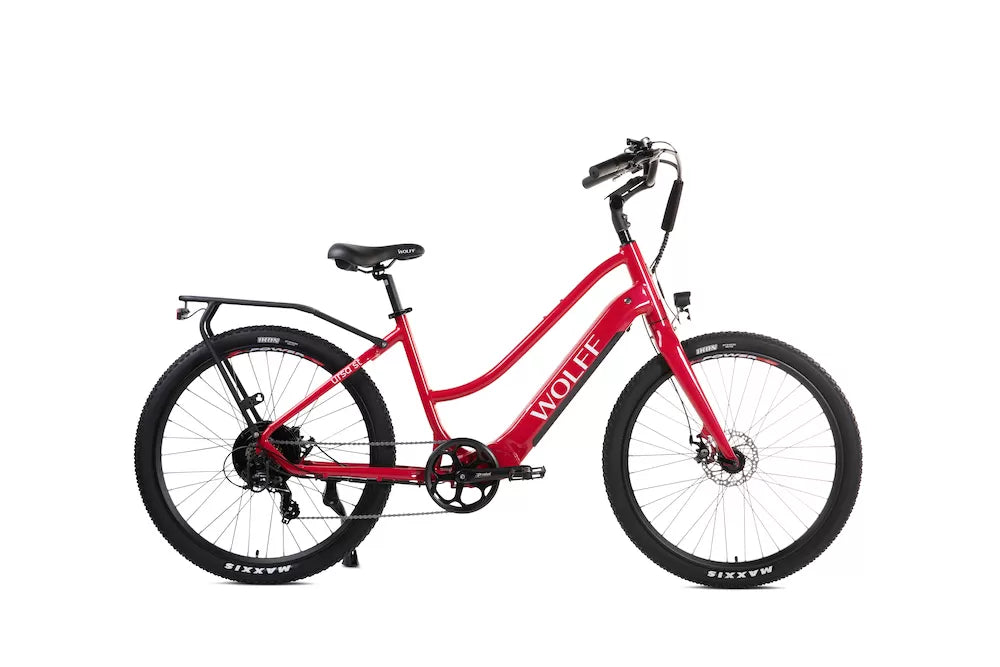 Ursa E-Bike Cruiser