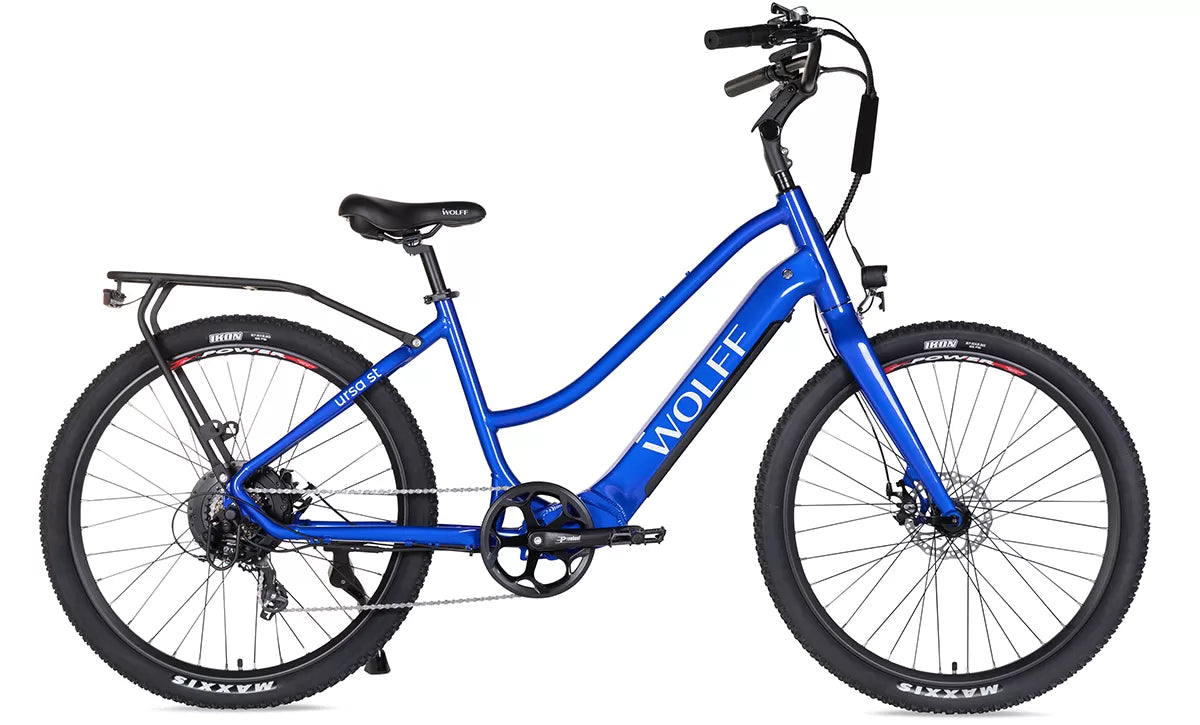 Ursa E-Bike Cruiser