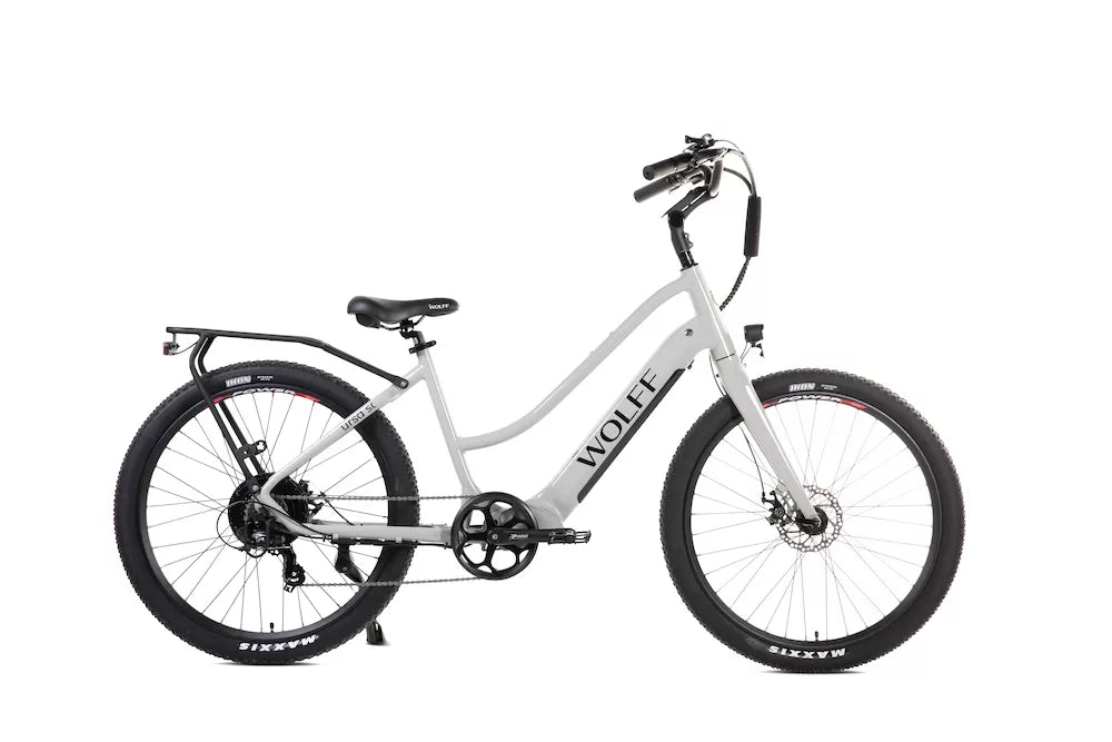 Ursa E-Bike Cruiser