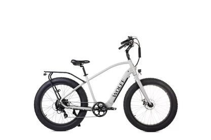 Ursa E-Bike Cruiser