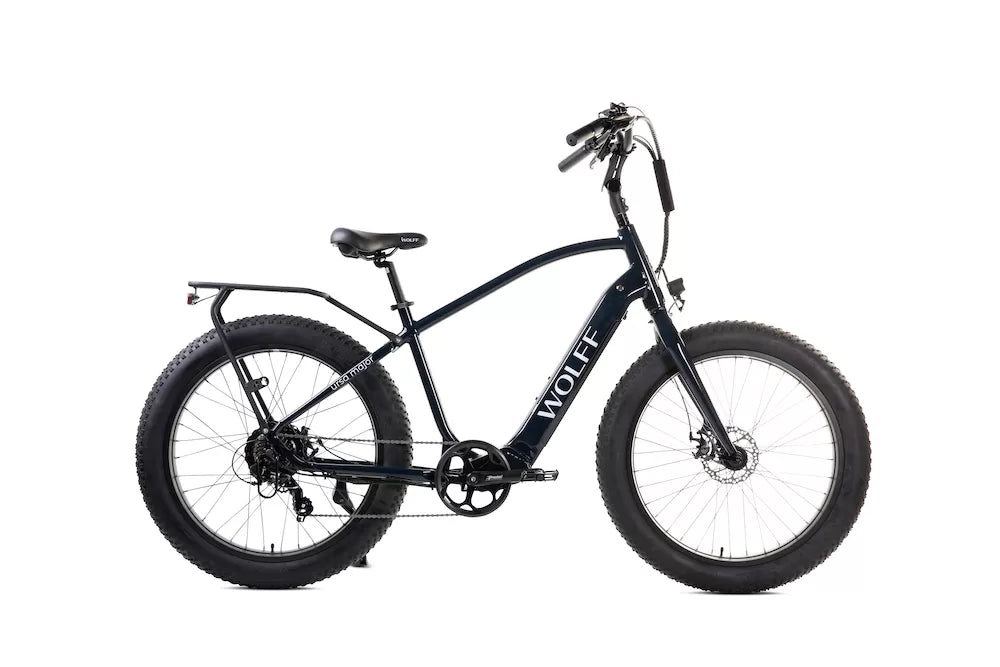 Ursa E-Bike Cruiser