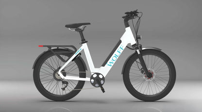 Evoke E-Bike