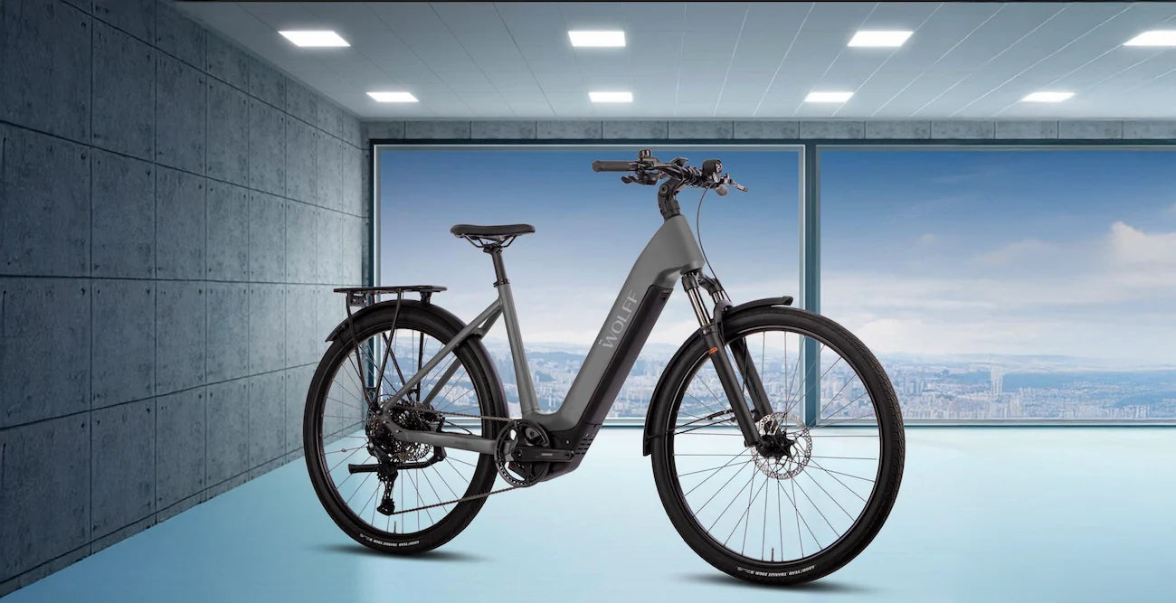 Impulse E-Bike